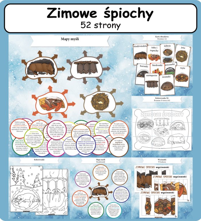 Zimowe śpiochy