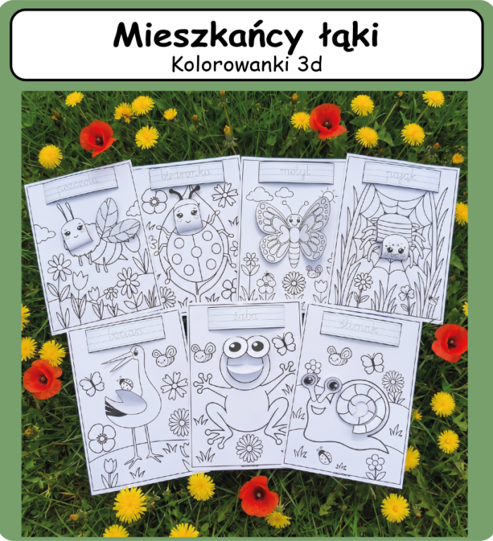 Mieszkańcy łąki - Kolorowanki 3D