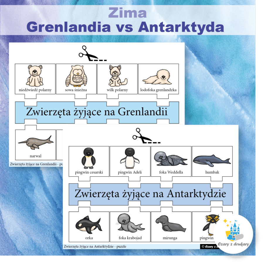 Zima Grenlandia vs Antarktyda